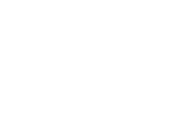 Про_vectorized copy